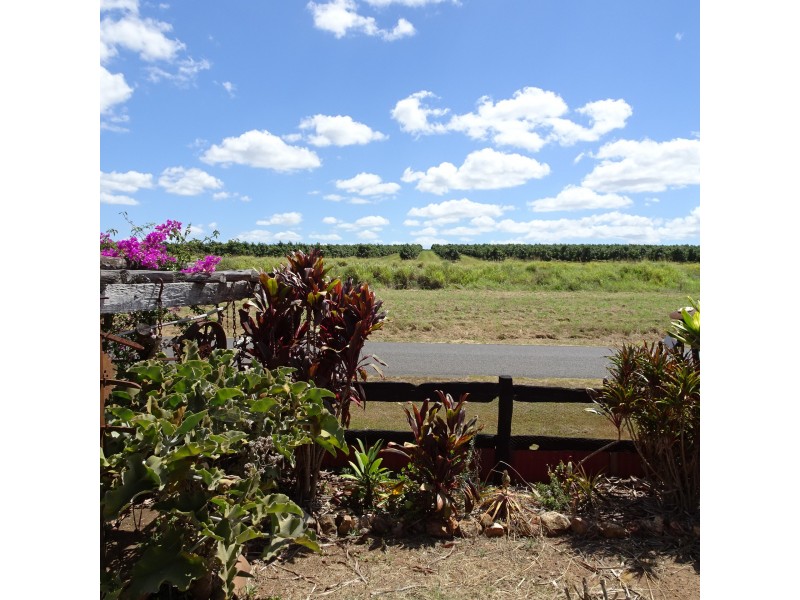 142 STATION ROAD, Horton QLD 4660