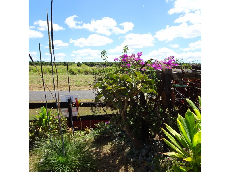 142 STATION ROAD, Horton QLD 4660