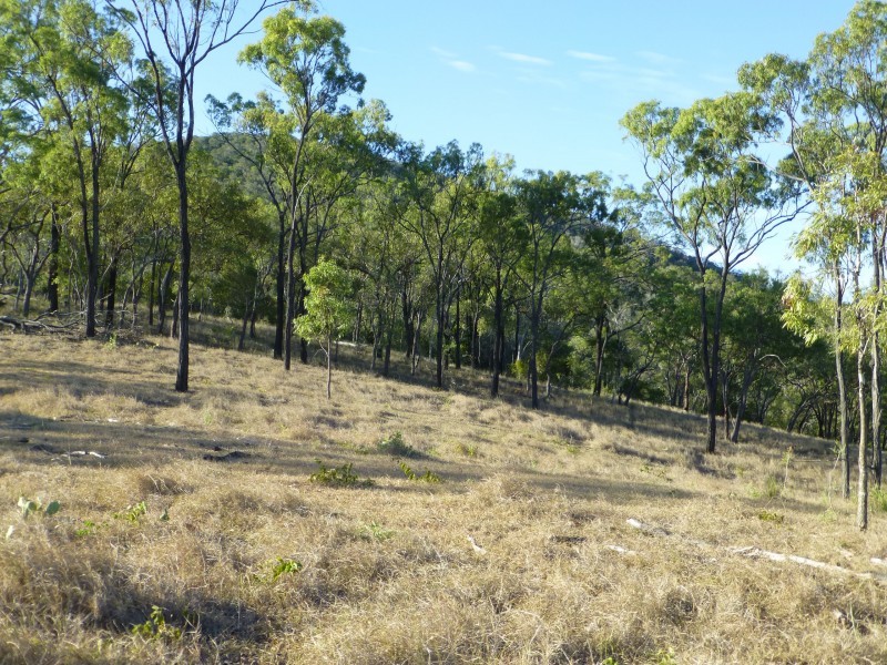 Lot 69 & 76,  MT HASTINGS CREEK ROAD, Biggenden QLD 4621