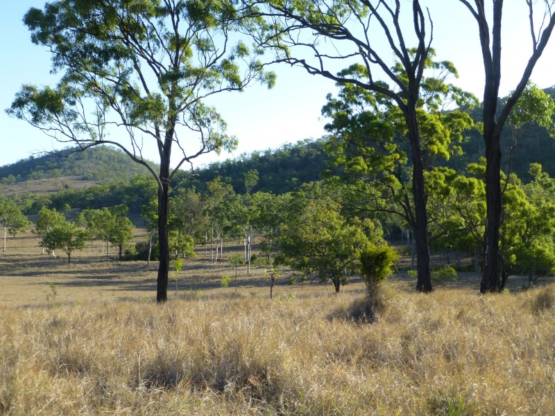 Lot 69 & 76,  MT HASTINGS CREEK ROAD, Biggenden QLD 4621