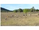 Lot 69 & 76,  MT HASTINGS CREEK ROAD, Biggenden QLD 4621