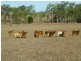 Lot 69 & 76,  MT HASTINGS CREEK ROAD, Biggenden QLD 4621