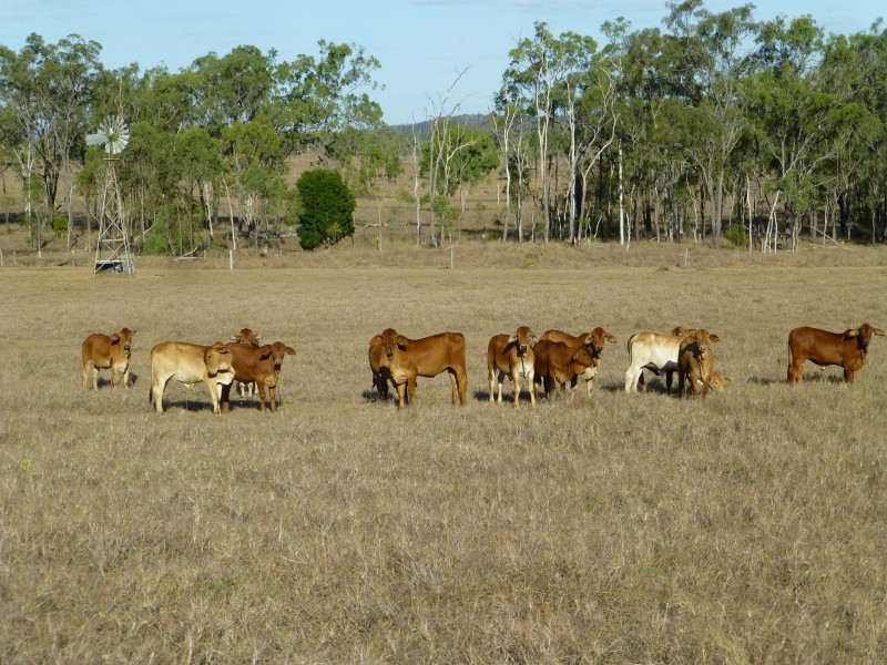 Lot 69 & 76,  MT HASTINGS CREEK ROAD, Biggenden QLD 4621