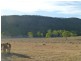 Lot 69 & 76,  MT HASTINGS CREEK ROAD, Biggenden QLD 4621