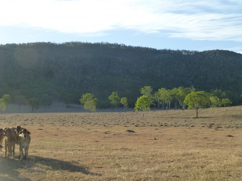 Lot 69 & 76,  MT HASTINGS CREEK ROAD, Biggenden QLD 4621