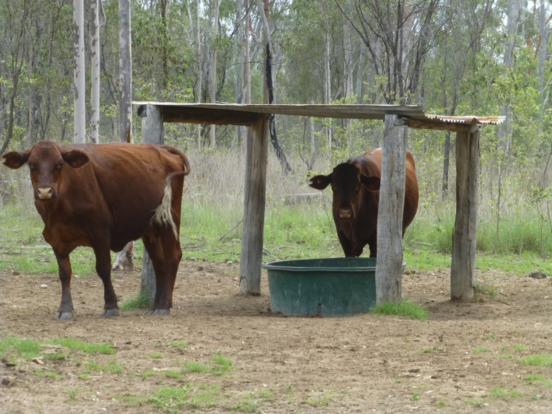 Lot 2,  MANAR ROAD, Boondooma QLD 4613