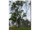 Lot 2,  MANAR ROAD, Boondooma QLD 4613
