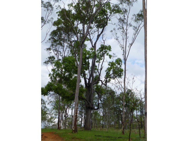 Lot 2,  MANAR ROAD, Boondooma QLD 4613