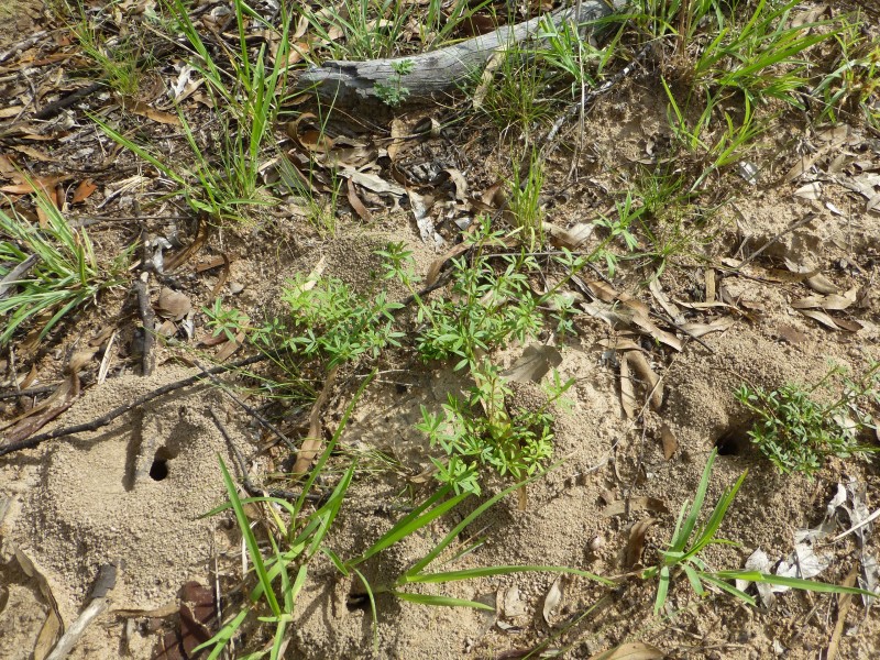 Lot 2,  MANAR ROAD, Boondooma QLD 4613