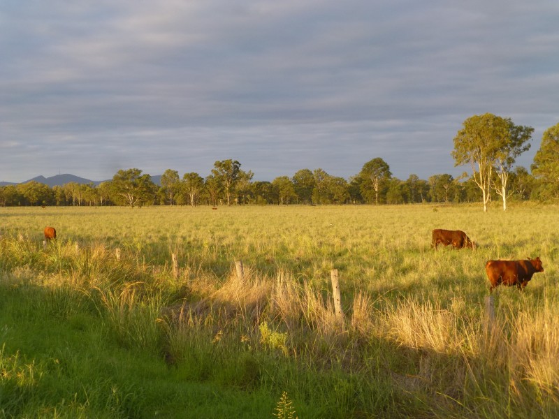 Lot 2 & 62,  ISIS HIGHWAY, Biggenden QLD 4621