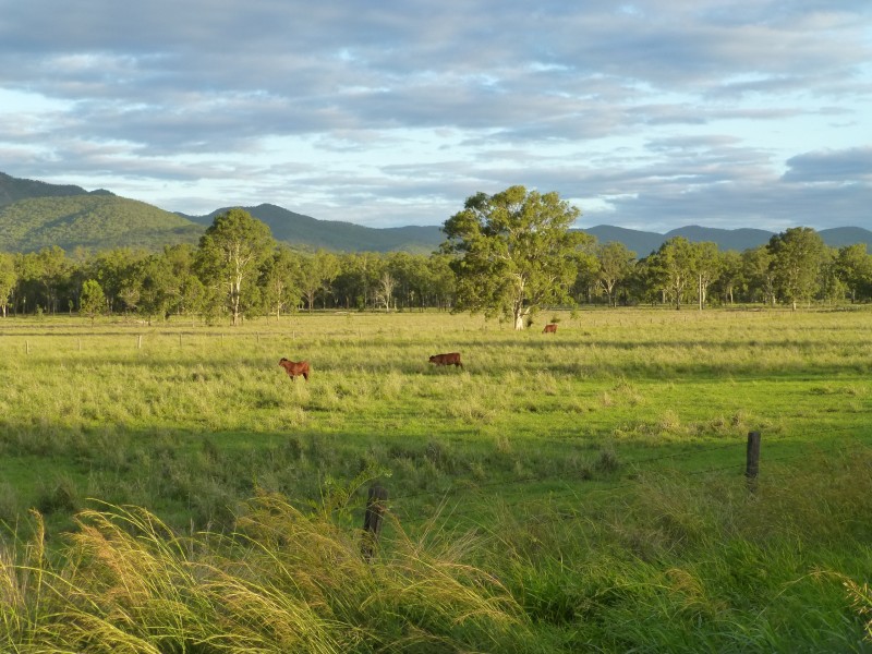 Lot 2 & 62,  ISIS HIGHWAY, Biggenden QLD 4621