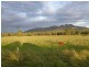Lot 2 & 62,  ISIS HIGHWAY, Biggenden QLD 4621