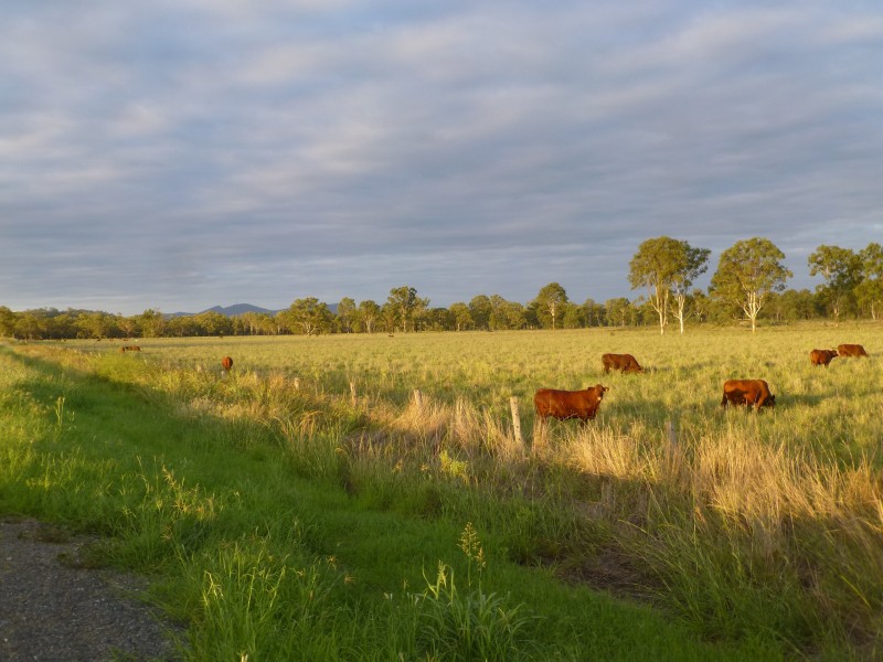 Lot 2 & 62,  ISIS HIGHWAY, Biggenden QLD 4621