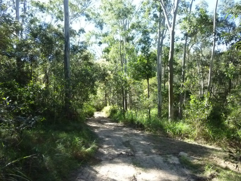 59 POSTMANS CROSSING, Buxton QLD 4660