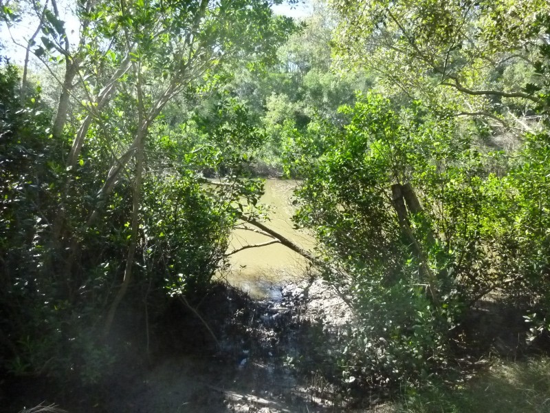 59 POSTMANS CROSSING, Buxton QLD 4660