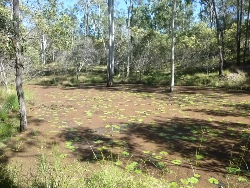 59 POSTMANS CROSSING, Buxton QLD 4660