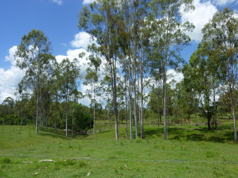 Lot 2,  HAYLOCKS ROAD, Pine Creek QLD 4670
