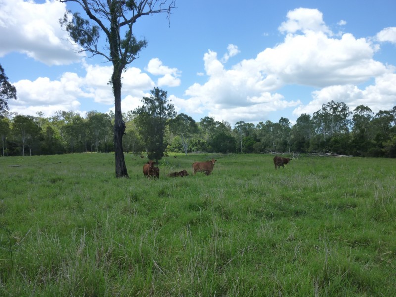 Lot 2,  HAYLOCKS ROAD, Pine Creek QLD 4670