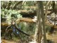 Lot 2,  HAYLOCKS ROAD, Pine Creek QLD 4670