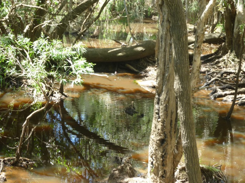 Lot 2,  HAYLOCKS ROAD, Pine Creek QLD 4670