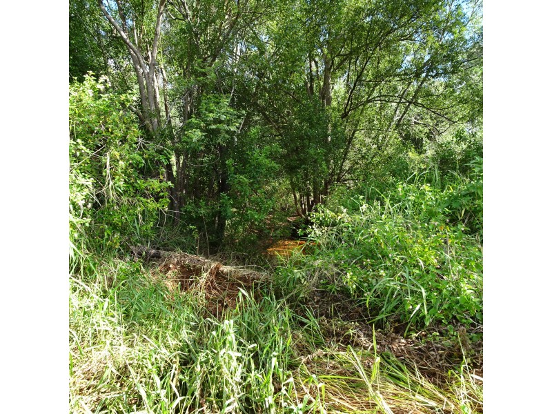 Lot 12,  OLD CREEK ROAD, Apple Tree Creek QLD 4660