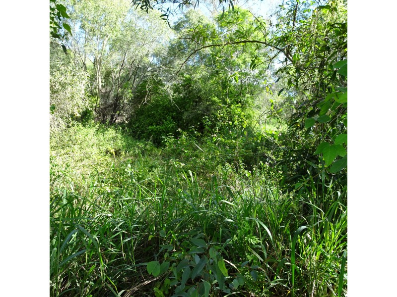 Lot 12,  OLD CREEK ROAD, Apple Tree Creek QLD 4660