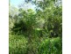 Lot 12,  OLD CREEK ROAD, Apple Tree Creek QLD 4660