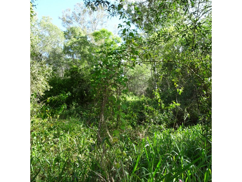 Lot 12,  OLD CREEK ROAD, Apple Tree Creek QLD 4660