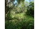 Lot 12,  OLD CREEK ROAD, Apple Tree Creek QLD 4660