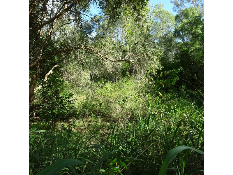 Lot 12,  OLD CREEK ROAD, Apple Tree Creek QLD 4660