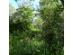 Lot 12,  OLD CREEK ROAD, Apple Tree Creek QLD 4660