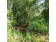 Lot 12,  OLD CREEK ROAD, Apple Tree Creek QLD 4660