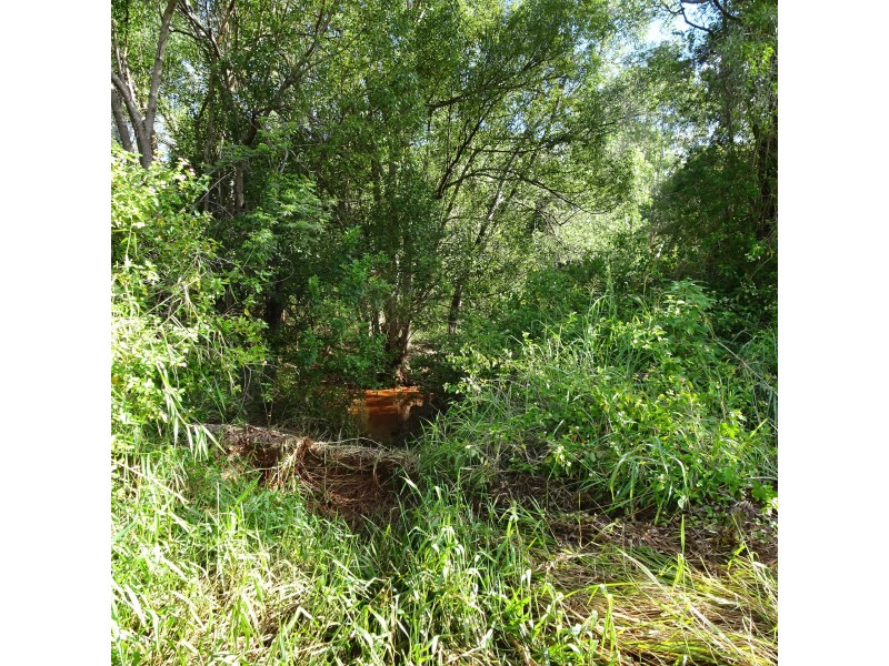 Lot 12,  OLD CREEK ROAD, Apple Tree Creek QLD 4660