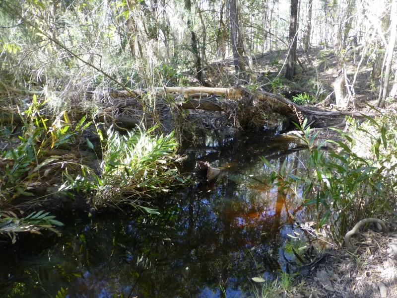 South Isis QLD 4660