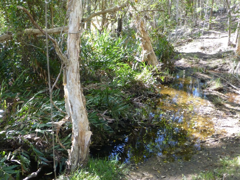 South Isis QLD 4660
