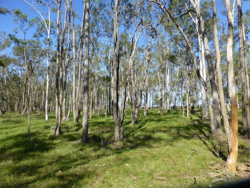 South Isis QLD 4660