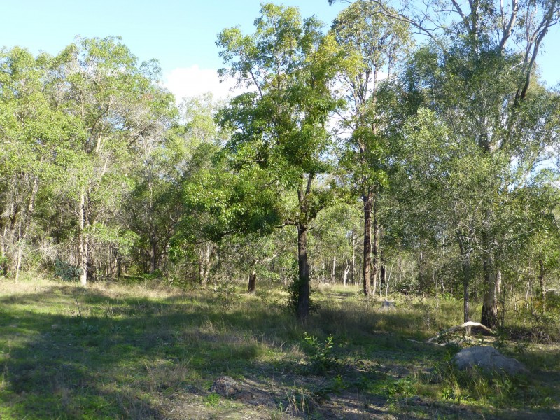 Lot 2, 180 Cooks Road, South Isis QLD 4660