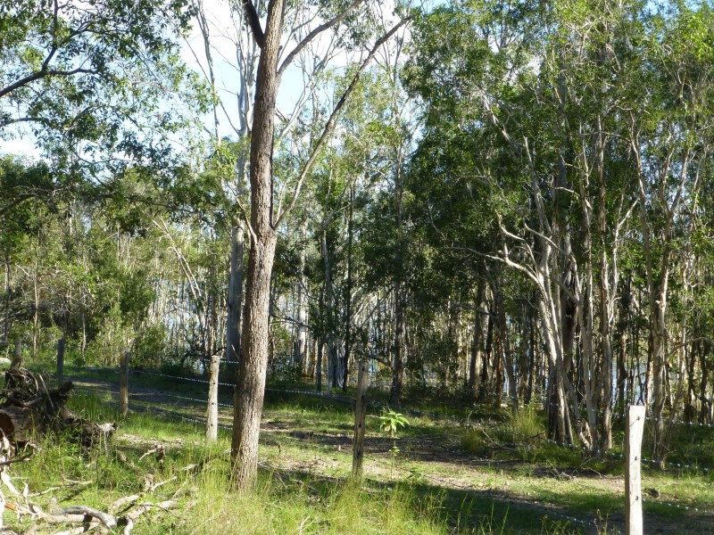 Lot 2, 180 Cooks Road, South Isis QLD 4660