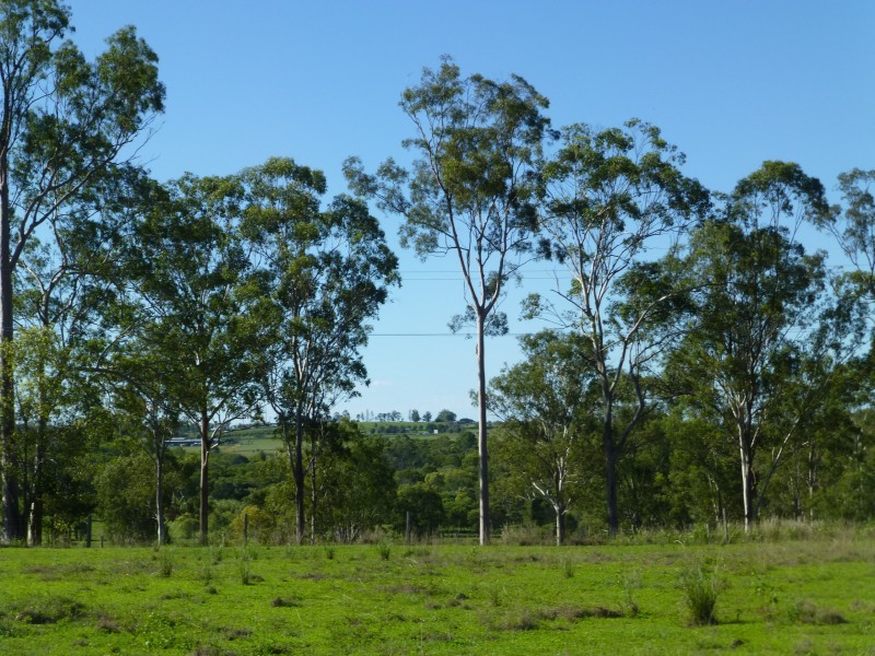 Lot 4, 186 Cooks Road, Childers QLD 4660
