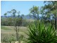Coringa QLD 4621