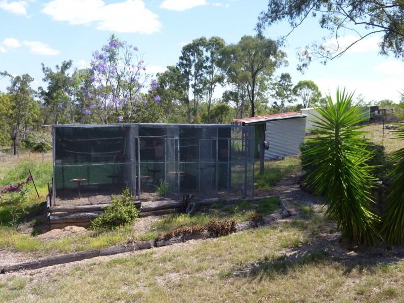 Coringa QLD 4621