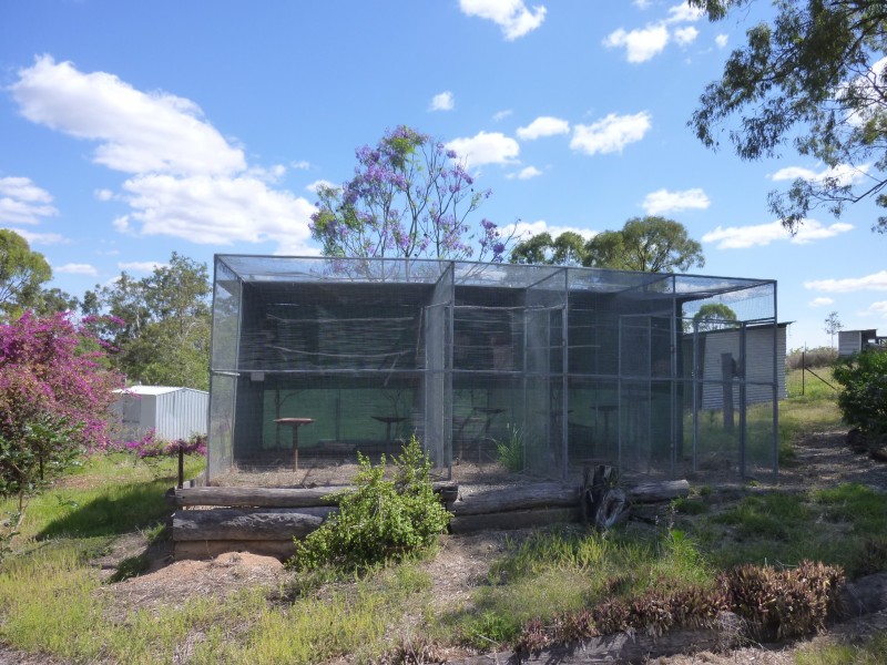 Coringa QLD 4621