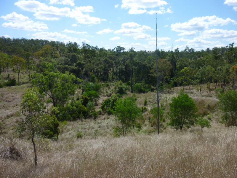 Coringa QLD 4621