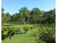 459 SWINDLE CREEK ROAD, Lakeside QLD 4621