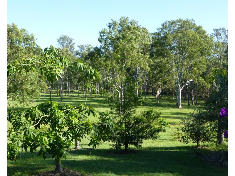 459 SWINDLE CREEK ROAD, Lakeside QLD 4621