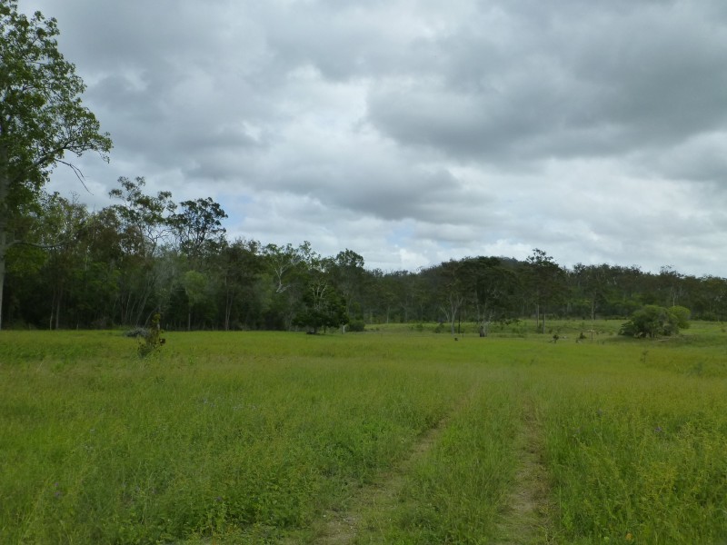 Woowoonga QLD 4621