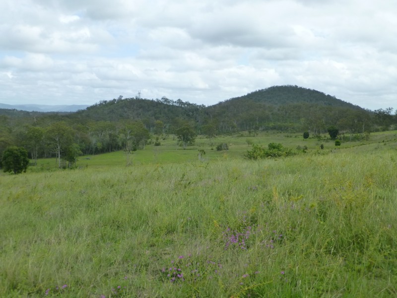 Woowoonga QLD 4621