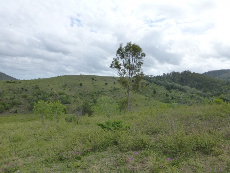 Woowoonga QLD 4621