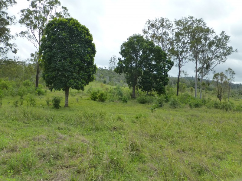 Woowoonga QLD 4621