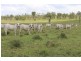 Eidsvold QLD 4627